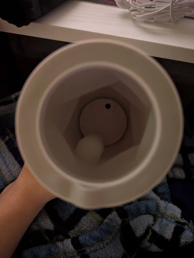 Detailed evaluation Detailed evaluation