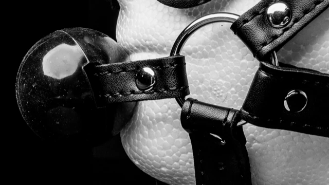 Blindfold Harness & Ball Gag Review