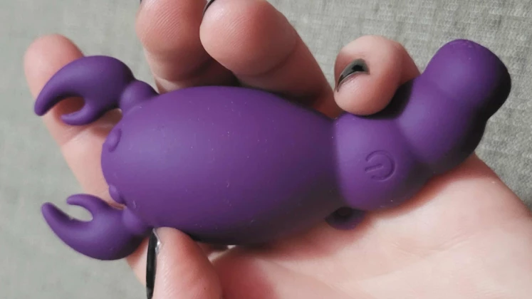 Our Erotic Journey Scorpio Zodiac Vibe Review: SO damn cute but DIDN'T get me off!