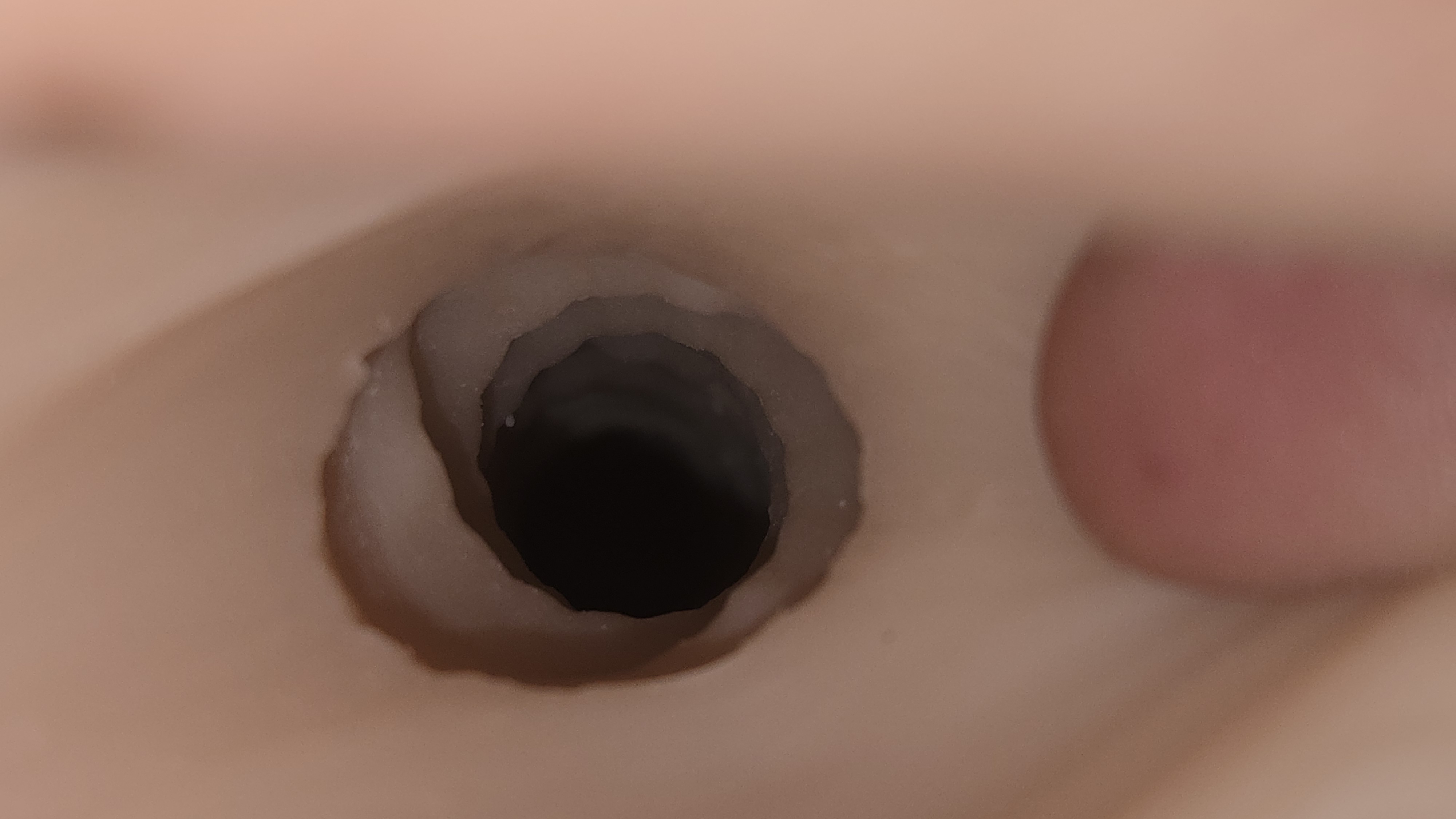 Pictured is the inside of the the Fleshlight Vina Sky Exotica sleeve. Pictured is the inside of the the Fleshlight Vina Sky Exotica sleeve.