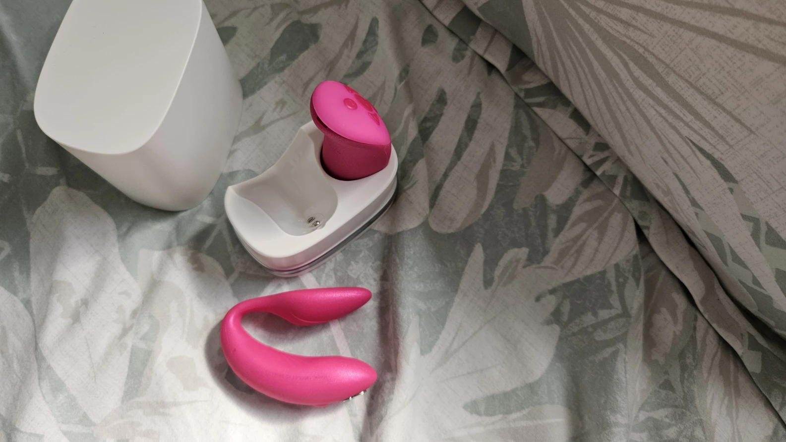 Charging case for We-Vibe Chorus