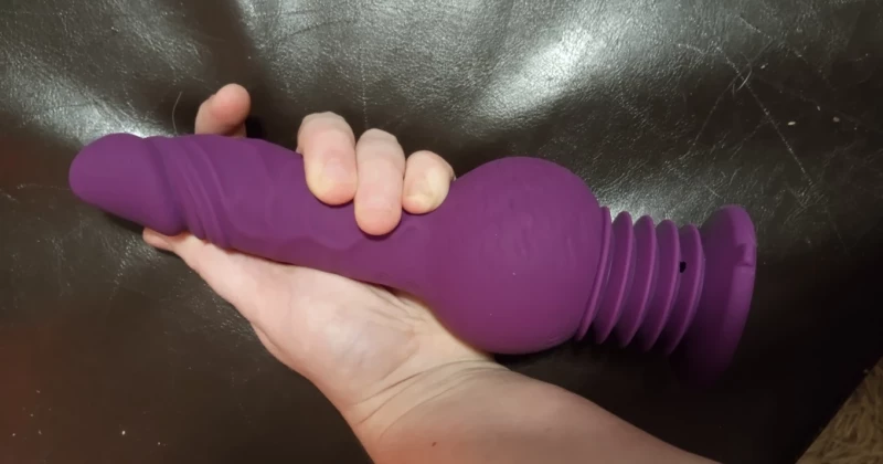 Tracy's Dog Drillme Review Tracy's Dog Drillme Review