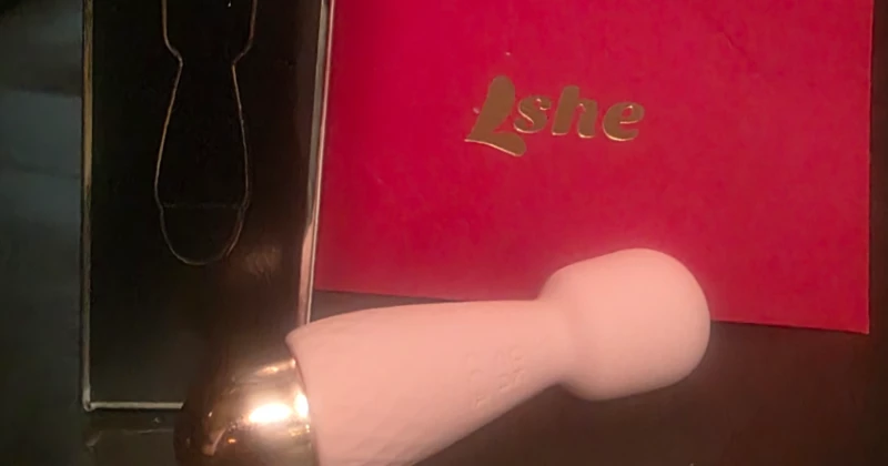 Lshe Pink Mini Magic Wand Massager