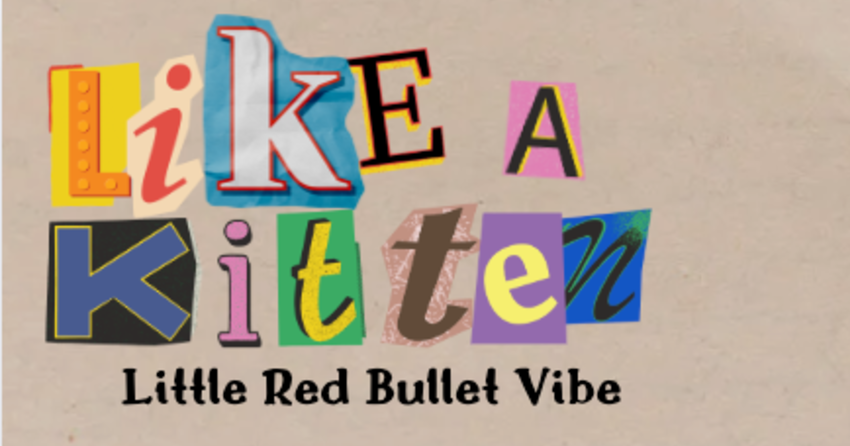 Like a Kitten's Little Red Bullet Vibrator: Compact Cutie 💋