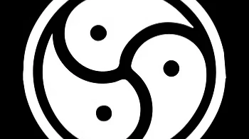 What is BDSM? What is BDSM?