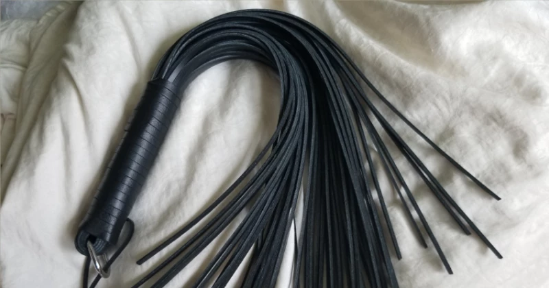 DOMINIX Deluxe Thick Leather Flogger Review: The Pleasure is in the Tails