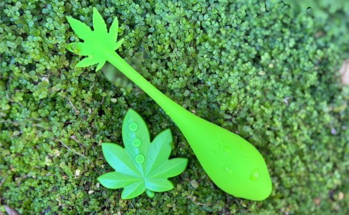 Sexy Pot Remote Egg Review - Let us “Water” it well!