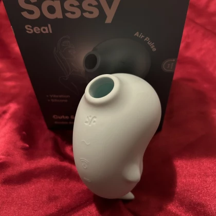 Seal of Approval: Satisfyer's Sassy Seal Offers All the Options Seal of Approval: Satisfyer's Sassy Seal Offers All the Options