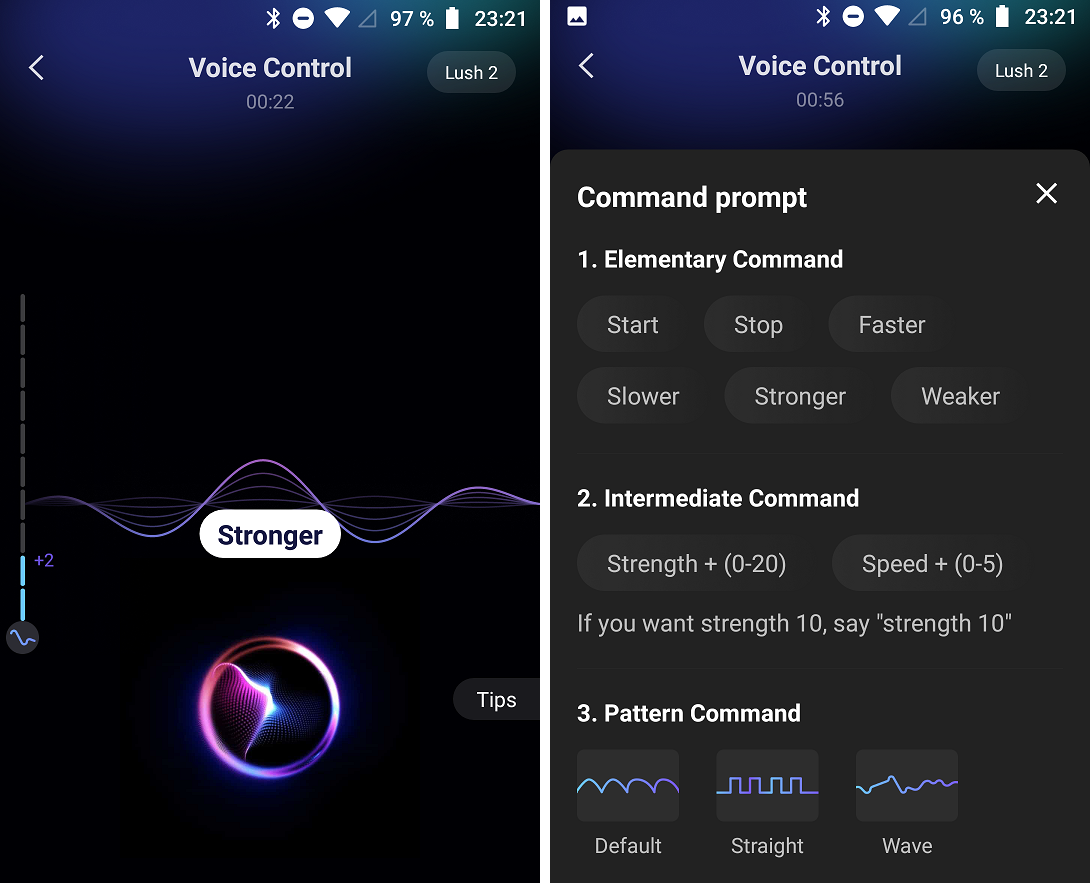 Screenshots of the Voice control Screenshots of the Voice control
