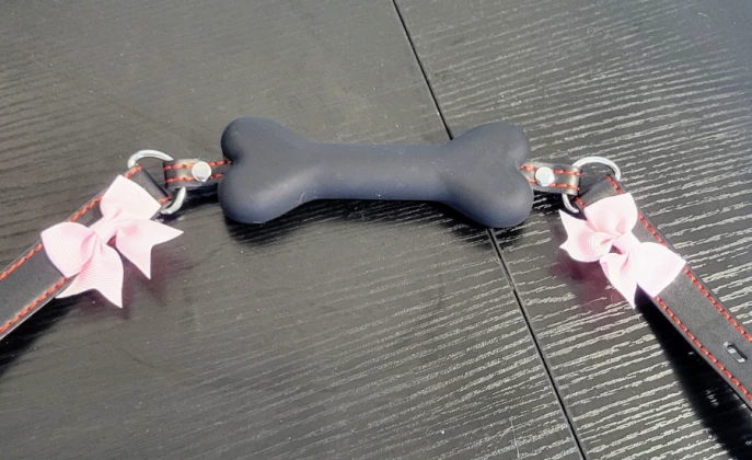 Cute Dog Bone Gag Review from Daddies Little Monsterz Cute Dog Bone Gag Review from Daddies Little Monsterz