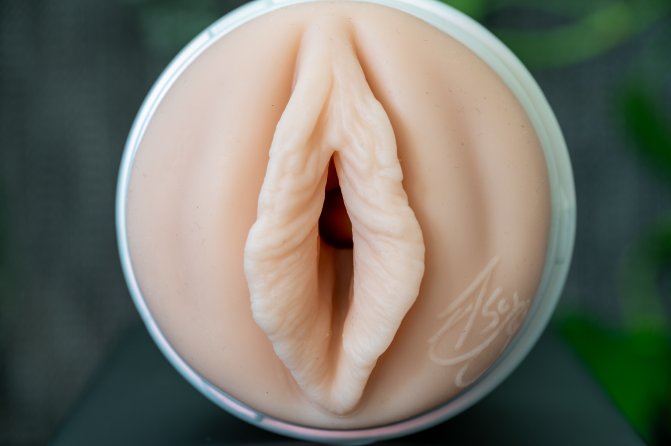 Pictured is the Fleshlight Elsa Jean sleeve with bold lips and wide slit for entry.