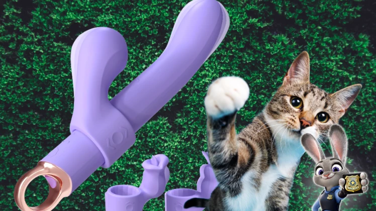 Wandora by Utimi Review: The Modular Rabbit That Actually Does It All