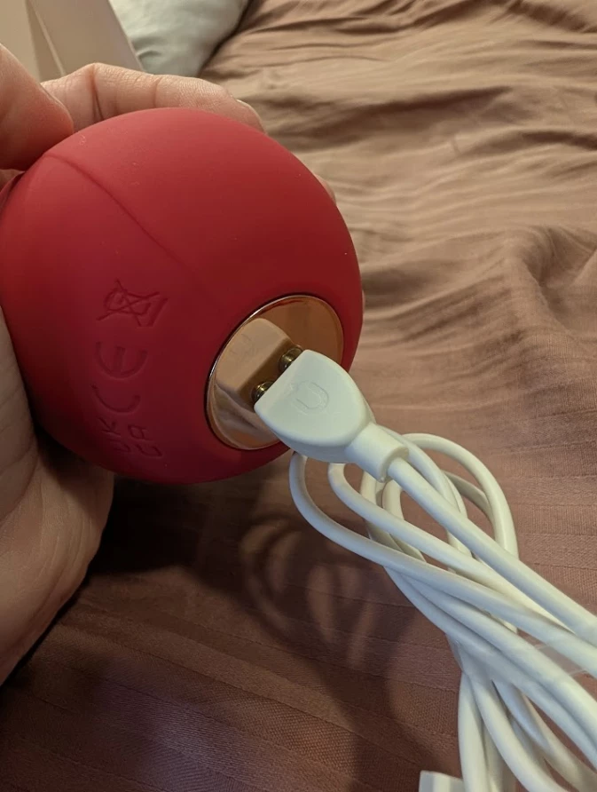 Amazon Big Shocked Rose Toy Review