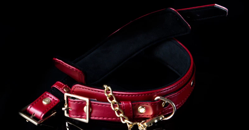 A Deep Dive into the Master Series AG883 Bondage Set Review — Luxury, Safety & Dom Control