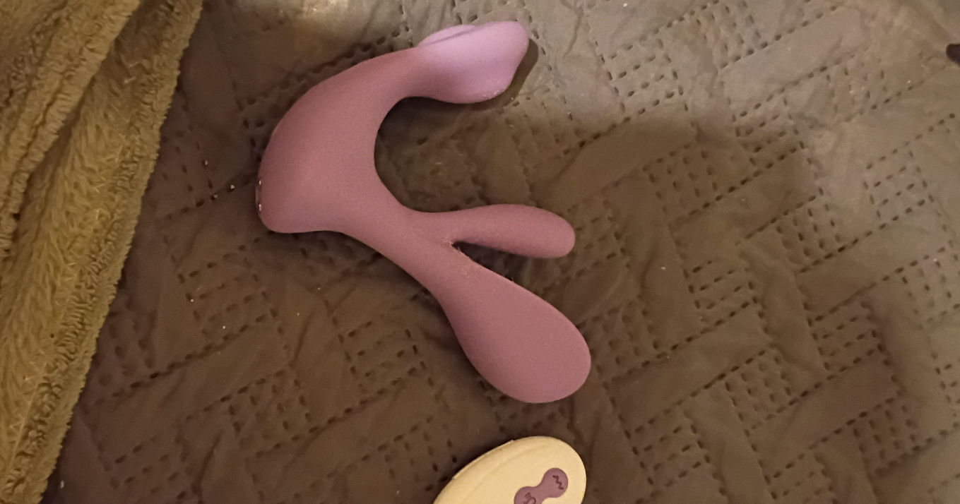 Hands-Free, Head-to-Toe: Tracy's Dog Swirlii Review