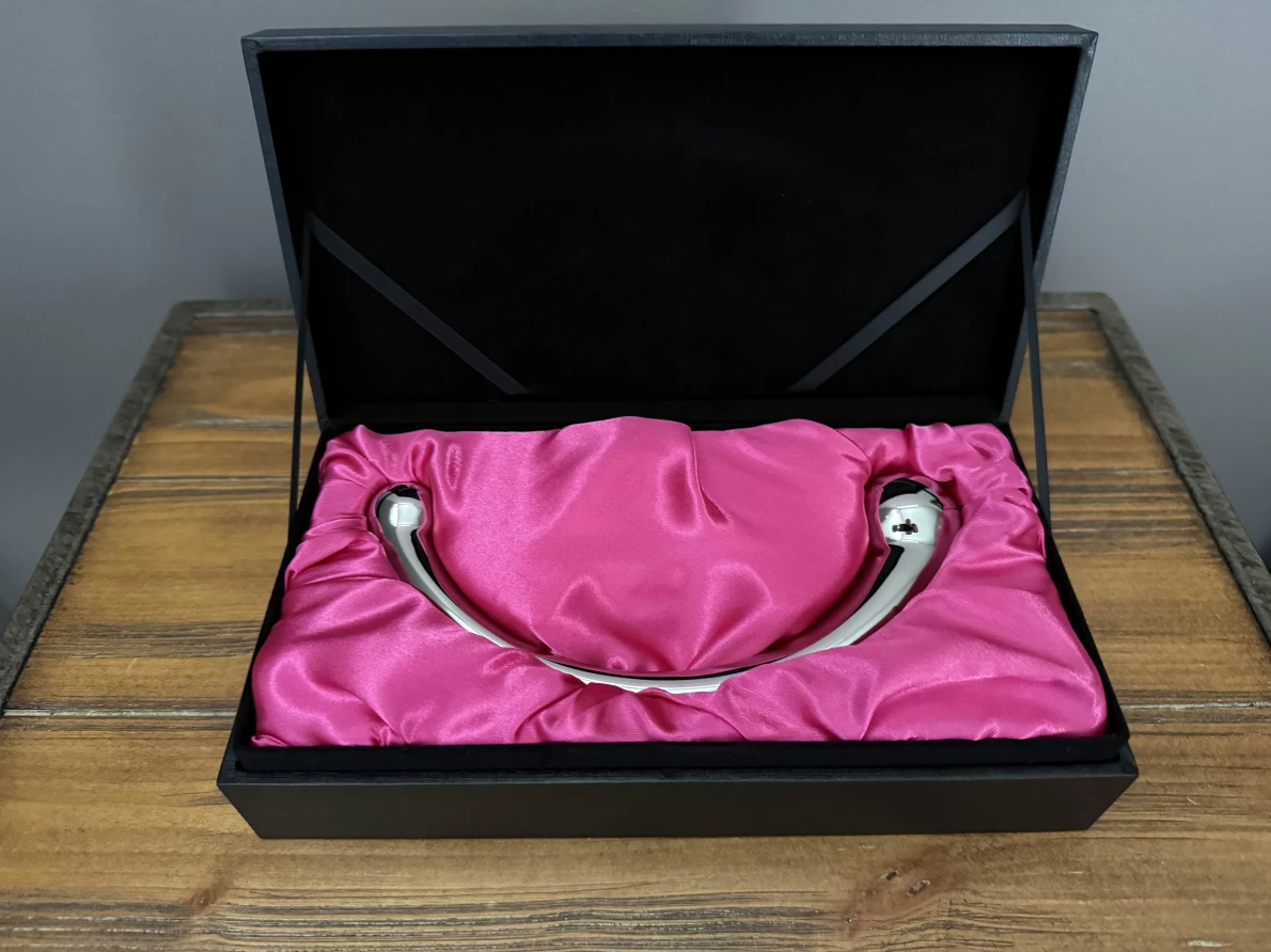 app control sex toys Njoy Pfun Plug main image 0