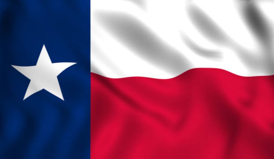 No Dildos in Texas?
