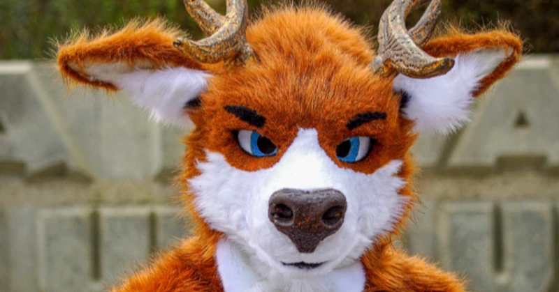 A Peek Inside the Furry Community A Peek Inside the Furry Community