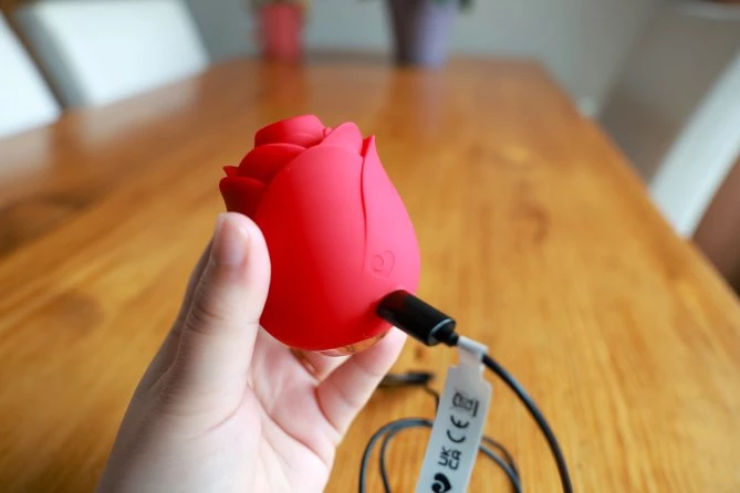 Lovehoney Rose Vibrator Review: Iconic Design for a Reason!