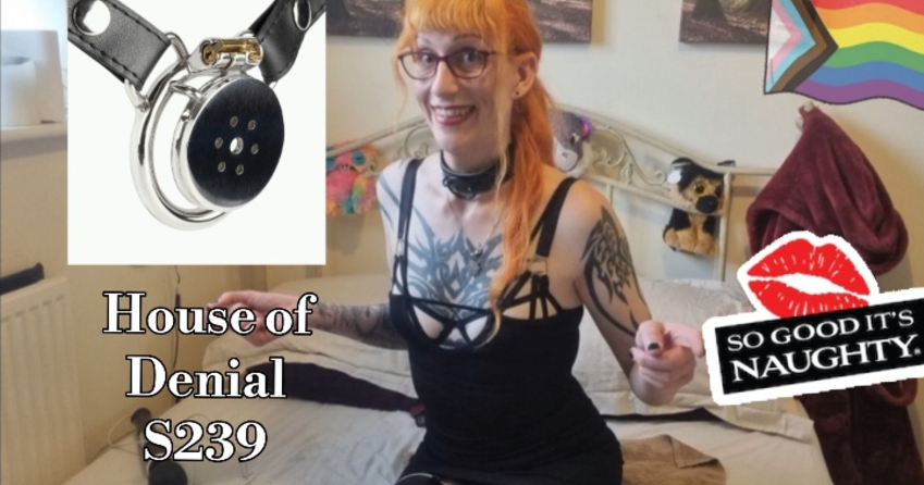 House of Denial S239 Flat Chastity Device