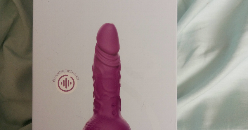 Tracy's Dog Drillme Review
