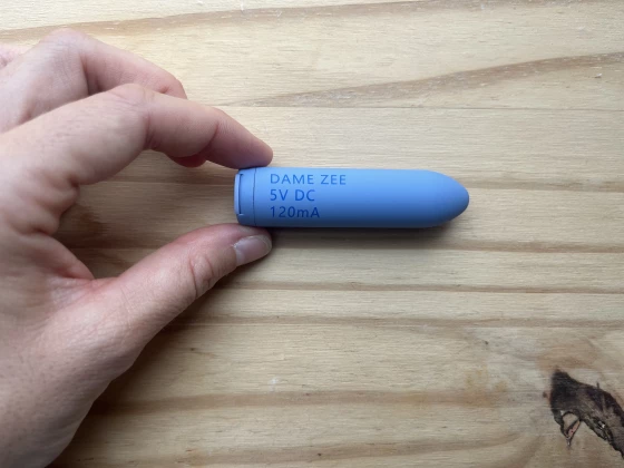 Zee by Dame Review: A Big Girl Vibrator