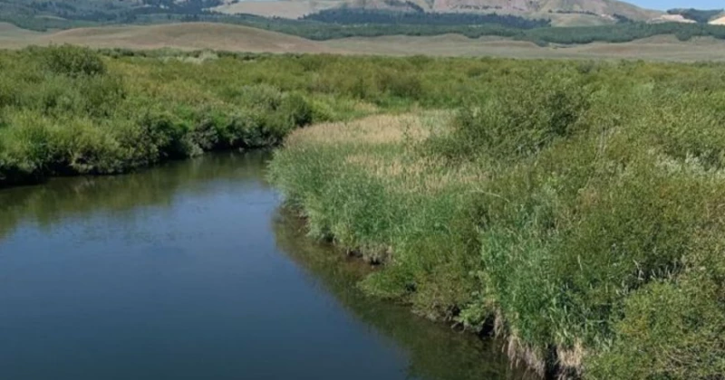 Sex Dolls Popping Up Everywhere Sex Dolls Popping Up Everywhere