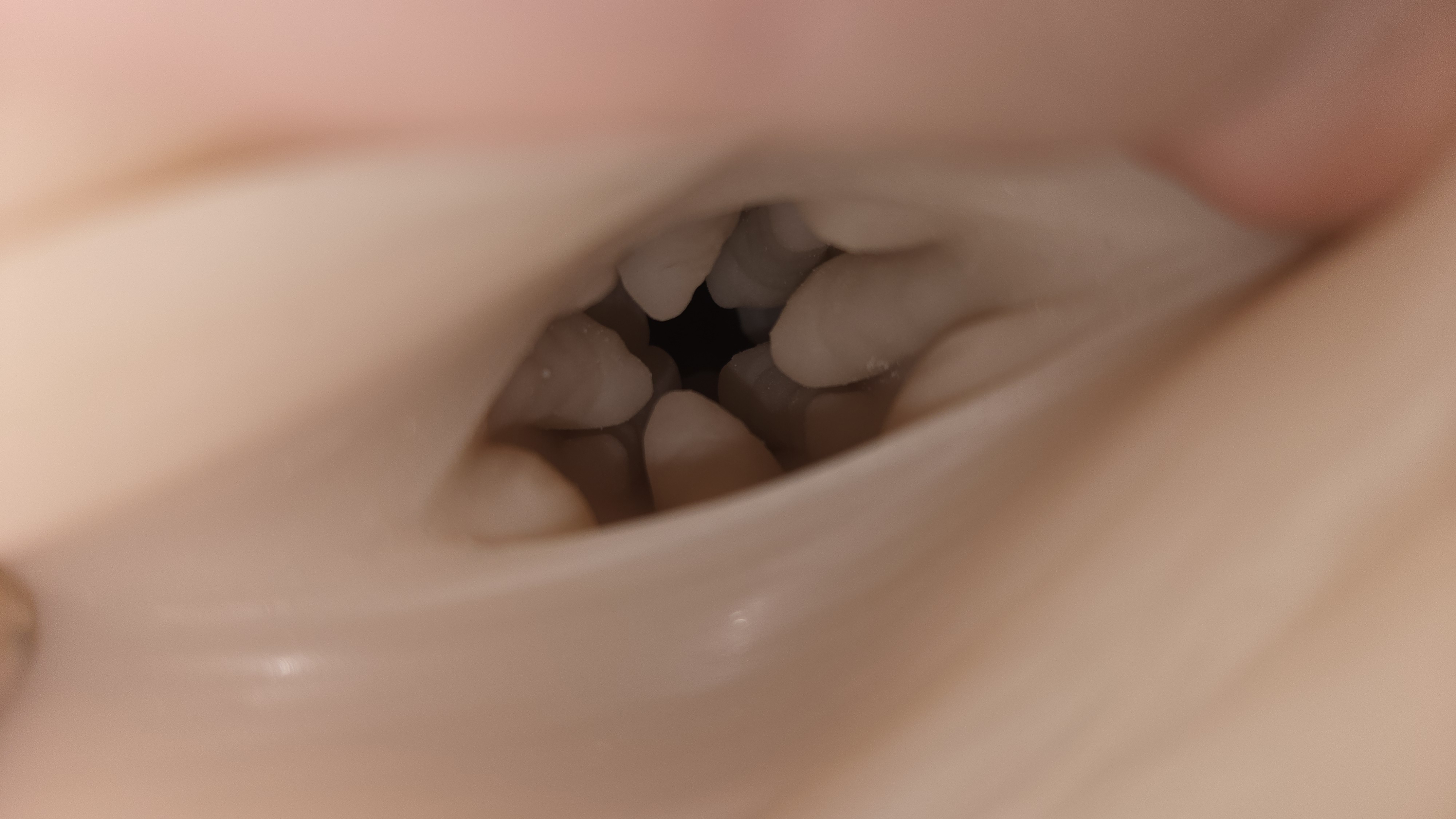 Pictured is the inside of The Emma Magnolia Regal Fleshlight showcasing the nubs and ridges of the interior walls.