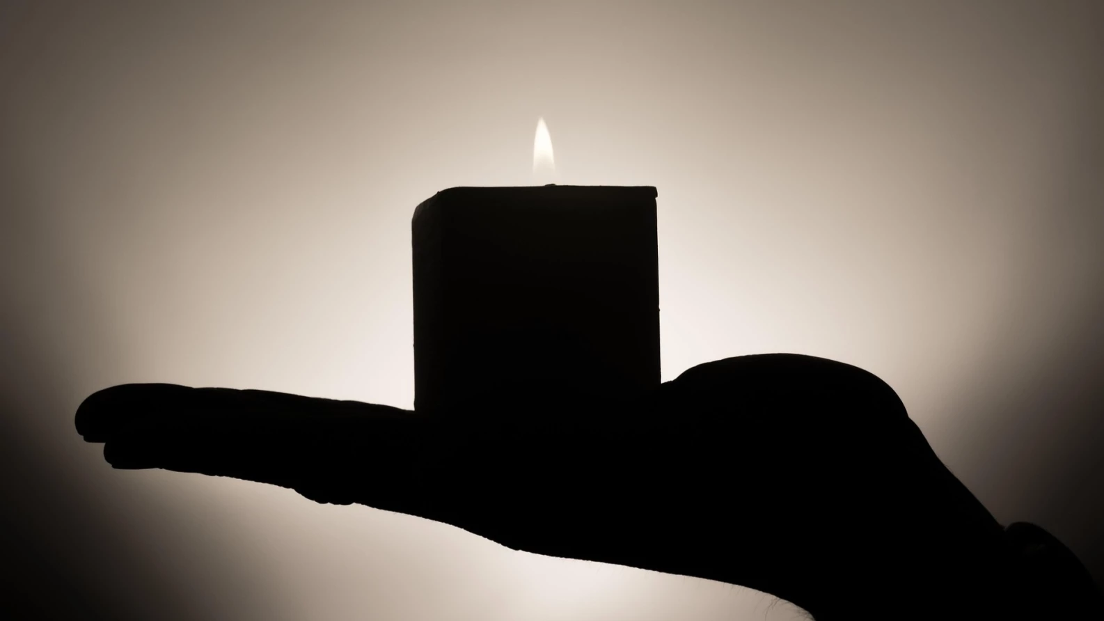 Detailed evaluation Detailed evaluation