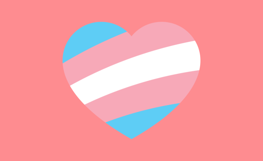 Trans Sex Tips You Need to Know