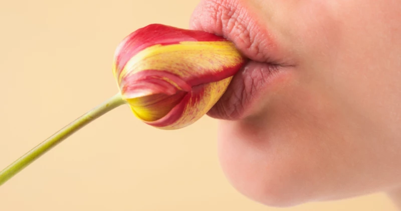 5 Rose Toys That Look Sweet but Play Dirty 5 Rose Toys That Look Sweet but Play Dirty