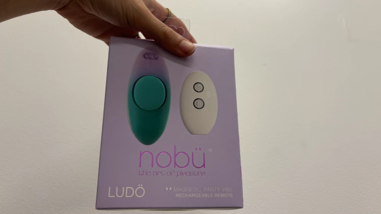 Nobu Ludo Review: Panty Vibes For Days