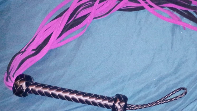 One of my new Favorite Toys: SRXES Purple Leather Crop Review