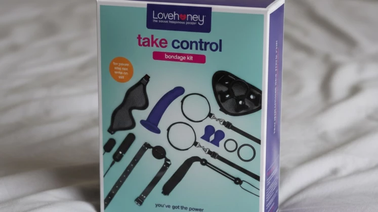 Lovehoney Take Control Bondage Kit Review