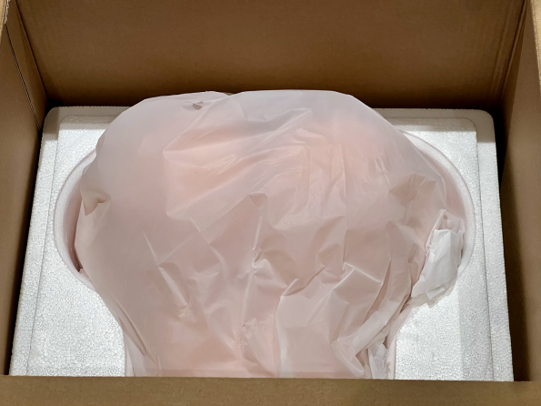 The Tantaly Brandi sex doll in its packaging.